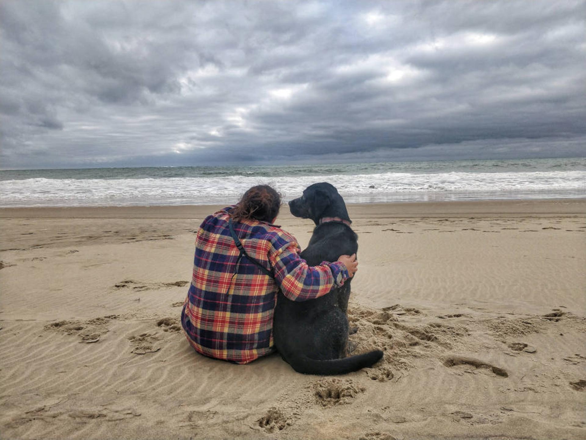 Photo d'un chien et d'une femme regardant la mer